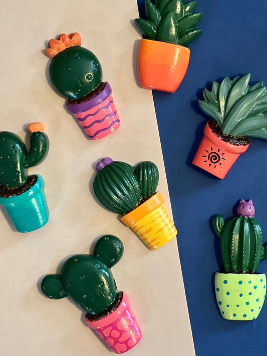 Bright succulent and cacti magnets