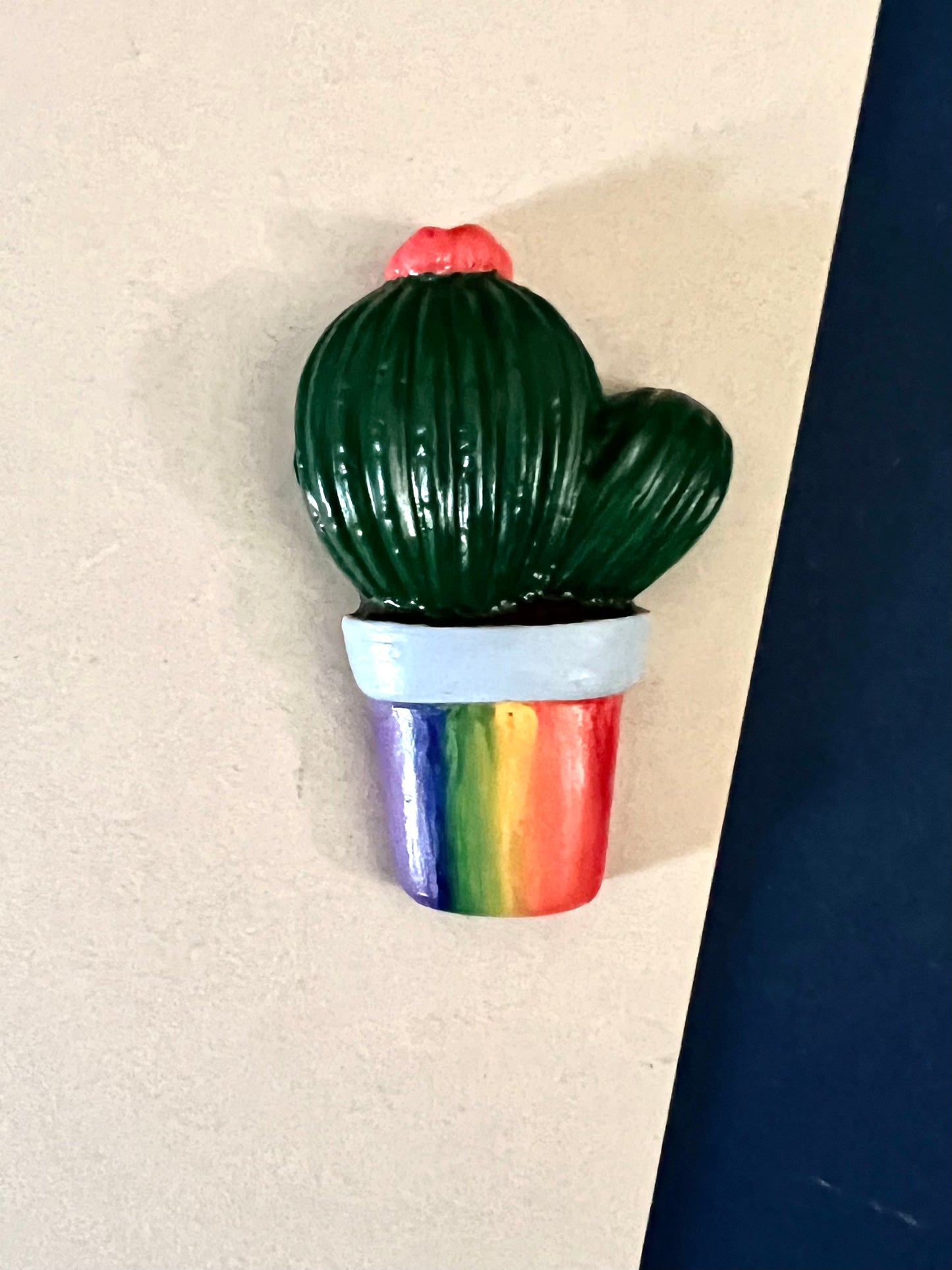 Nature & Rainbows succulent and cacti magnets