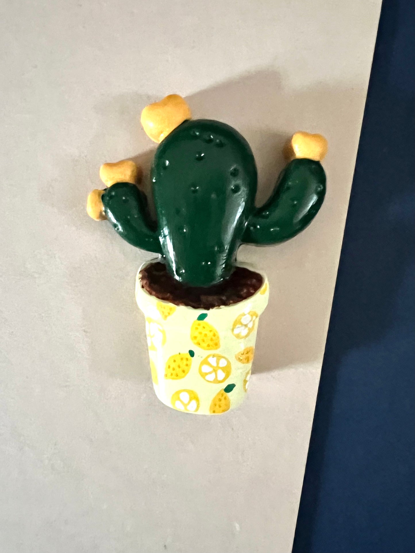 Fruity succulent and cacti magnets