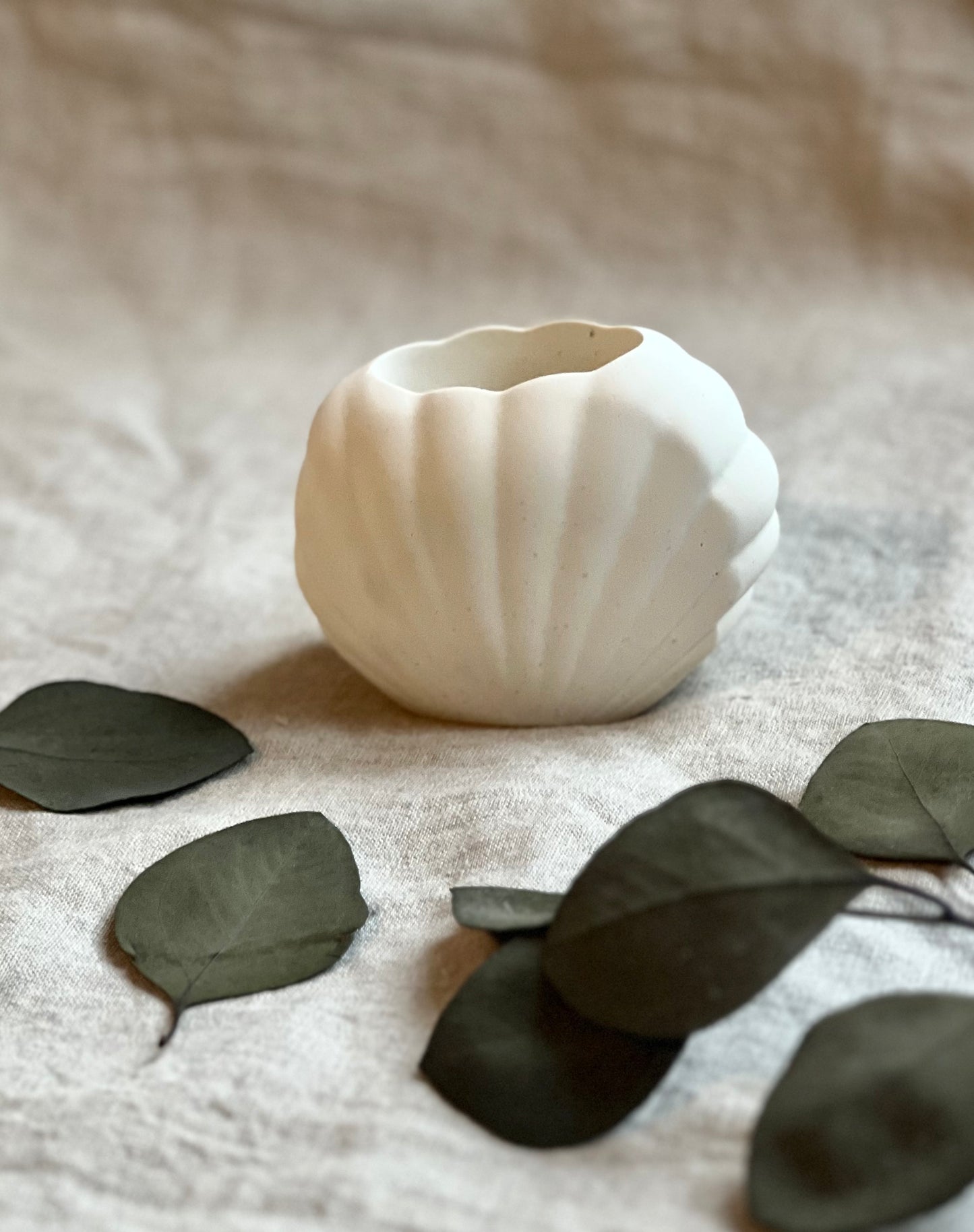 Seashell pot - EMB Pretty
