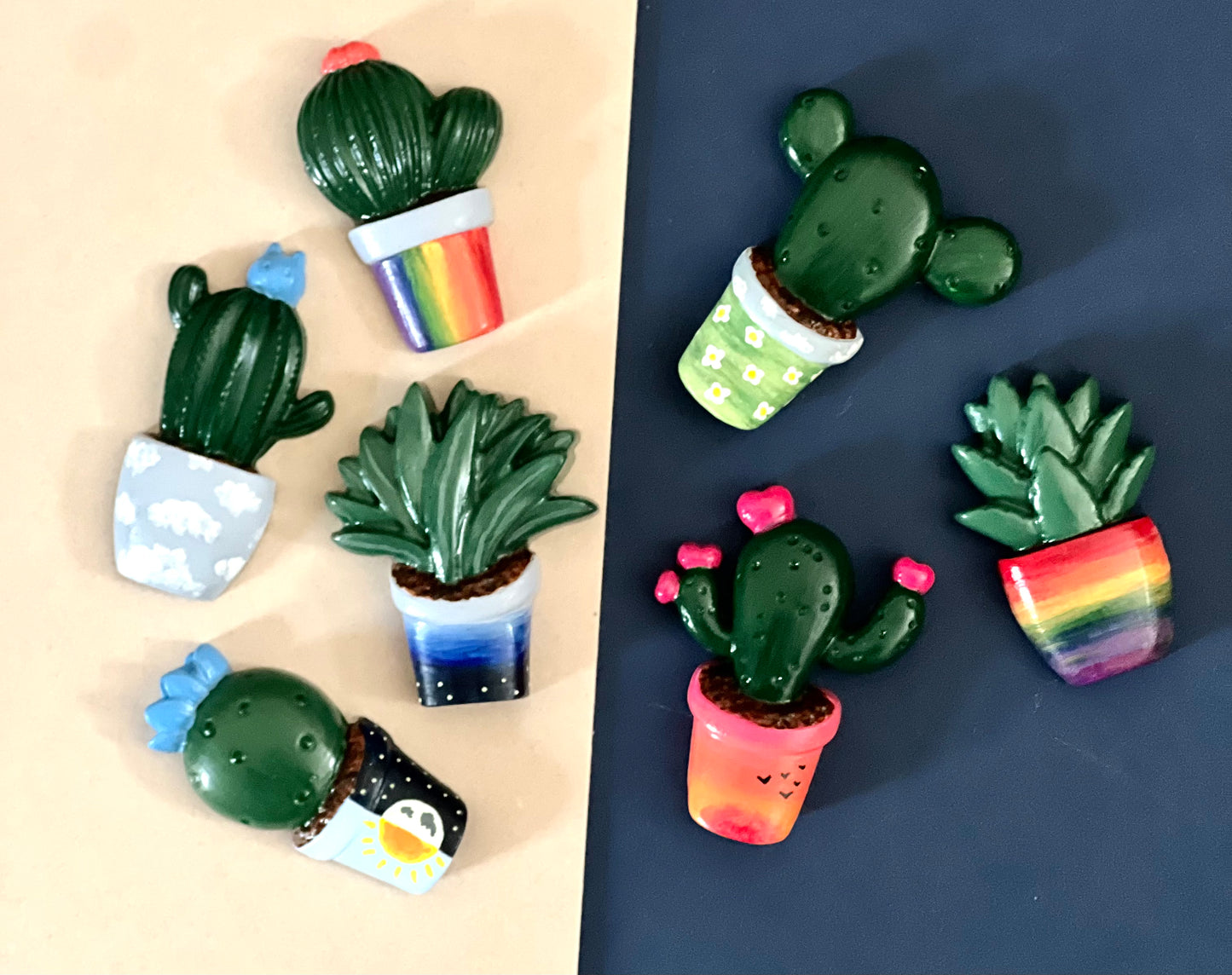 Nature & Rainbows succulent and cacti magnets