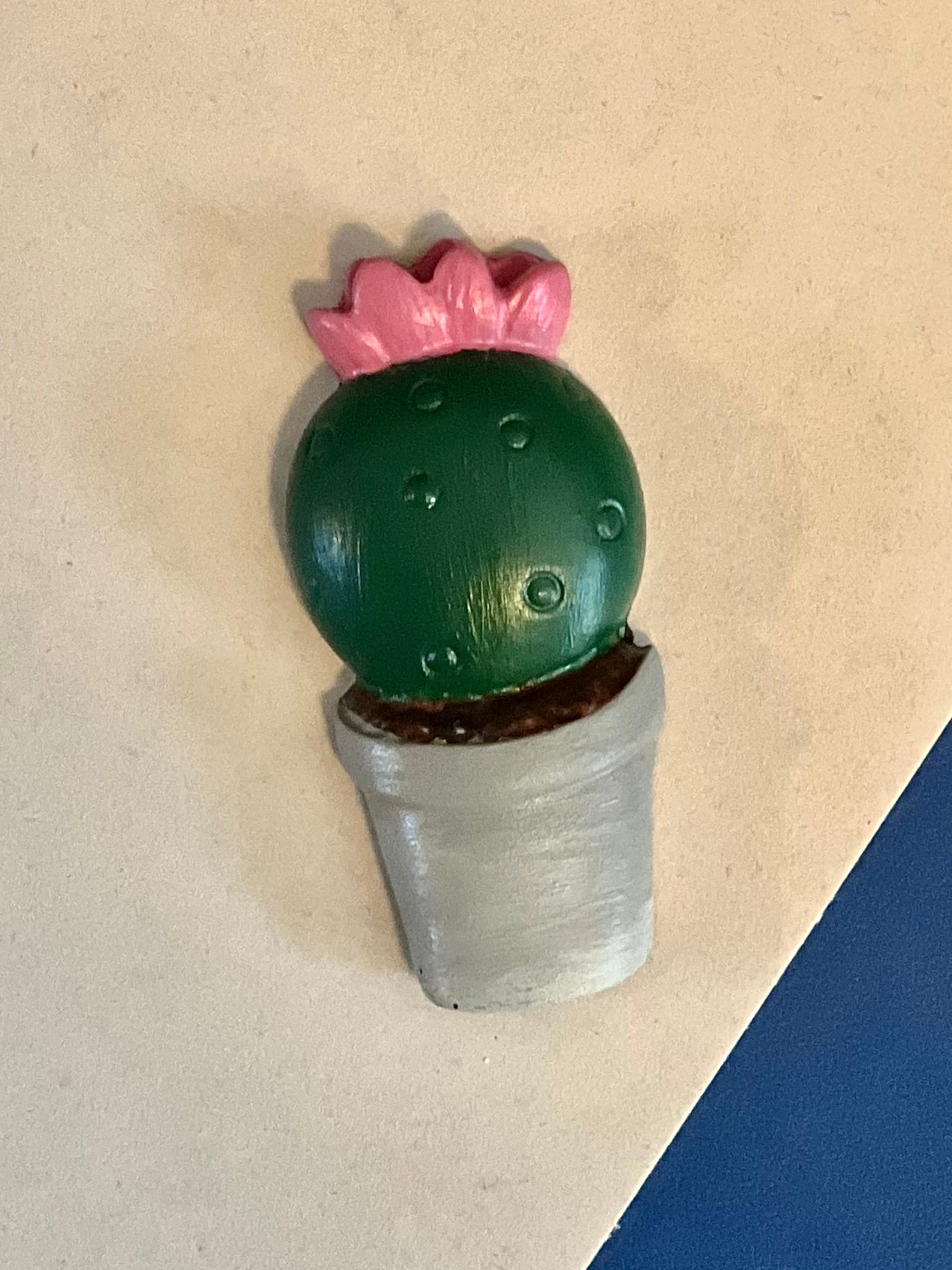 Neutral succulent and cacti magnets