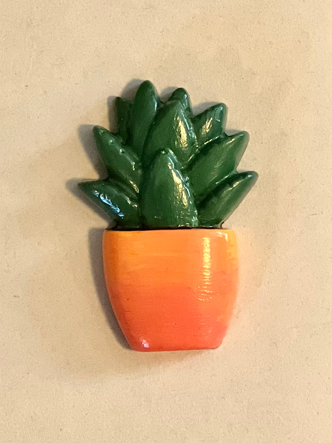 Bright succulent and cacti magnets