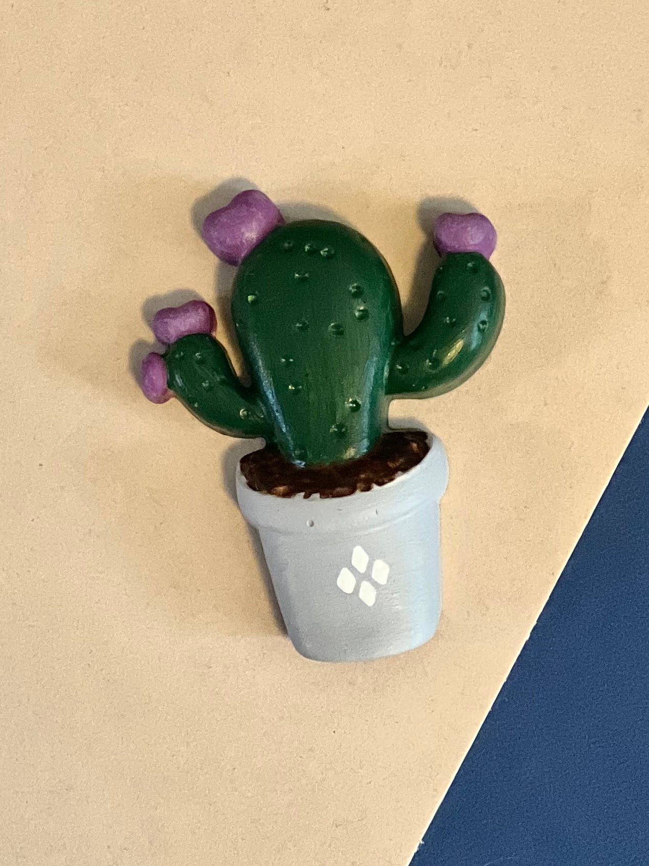 Neutral succulent and cacti magnets
