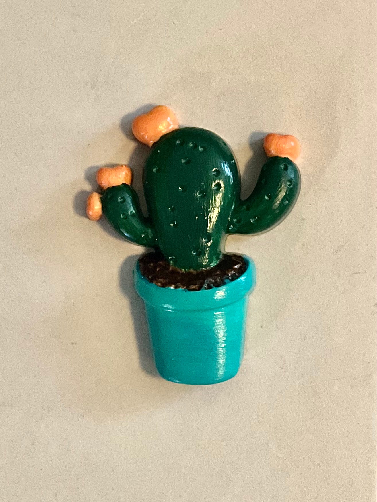 Bright succulent and cacti magnets