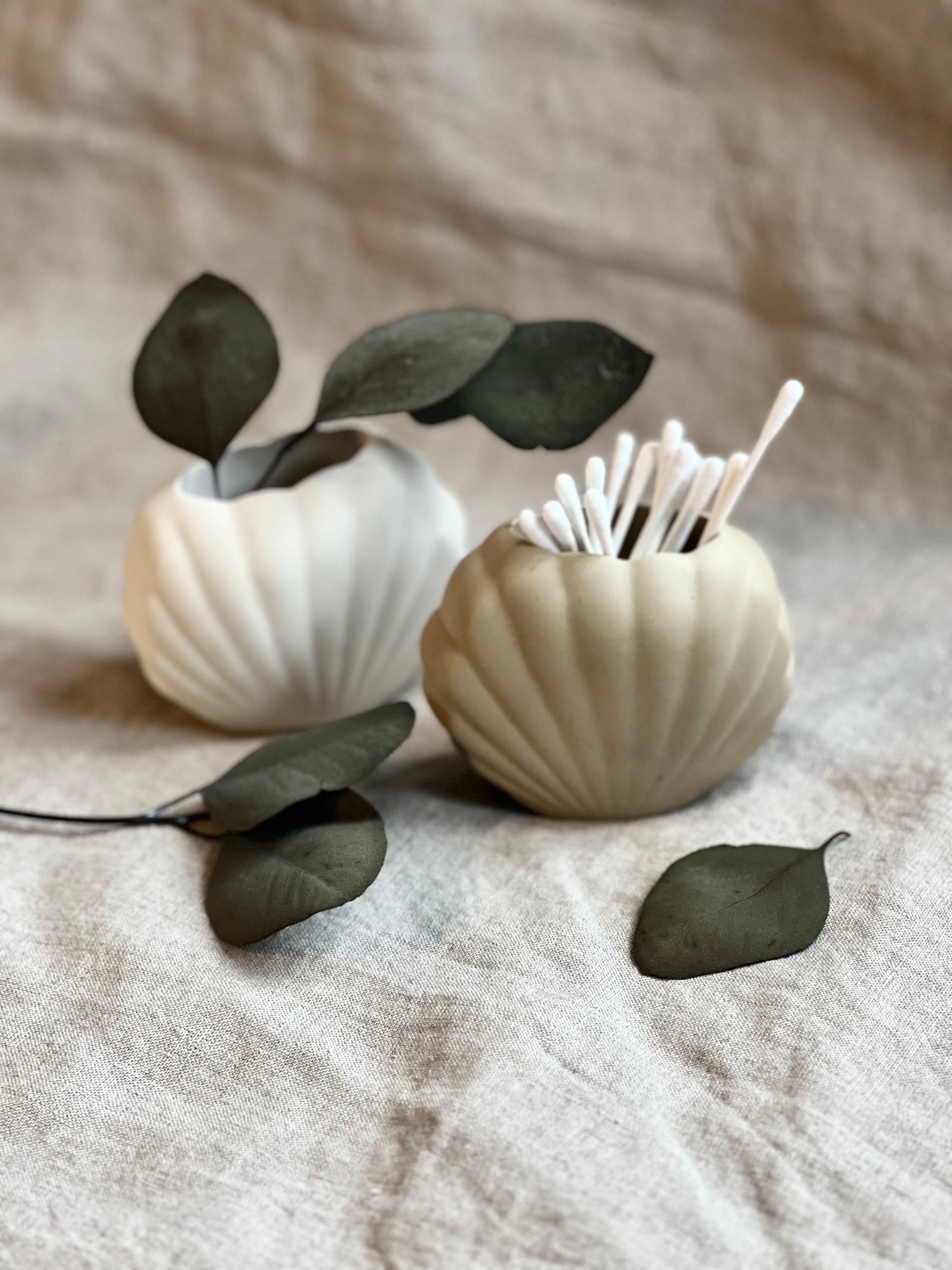 Seashell pot - EMB Pretty