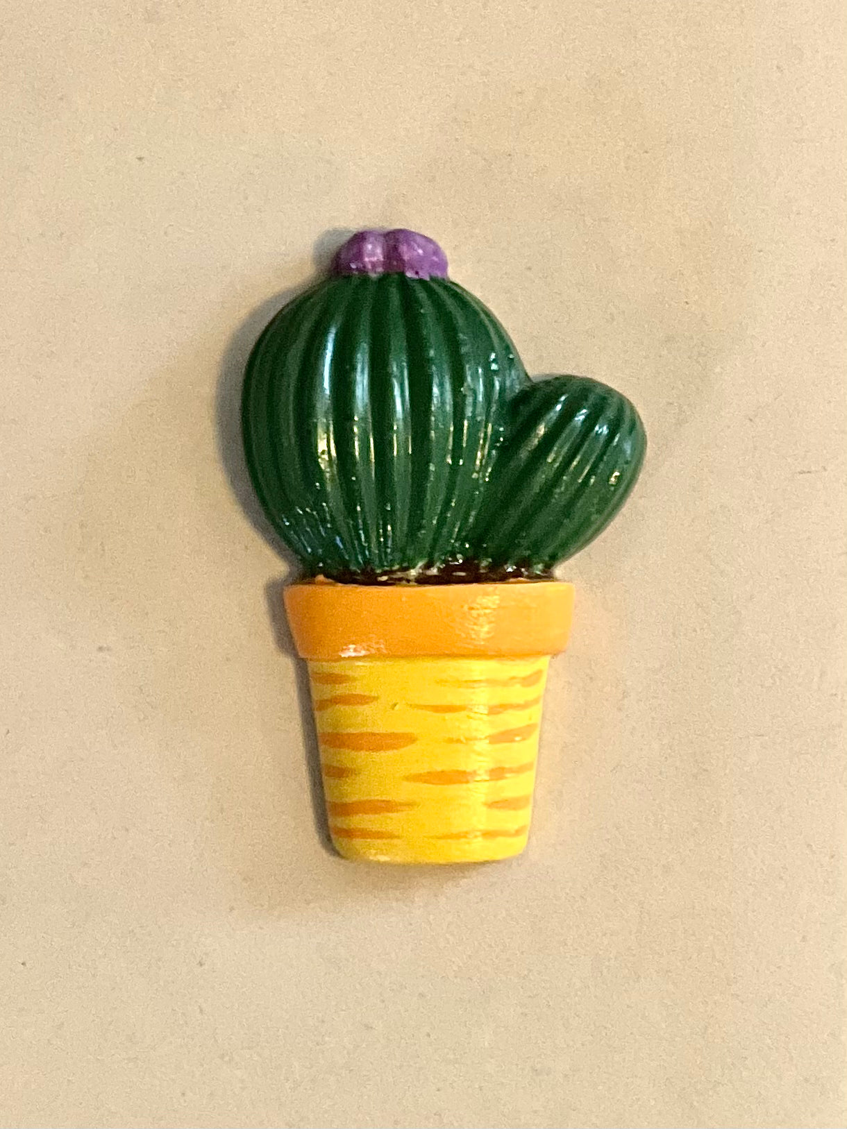 Magnet të ndritshëm me shije dhe kaktus
